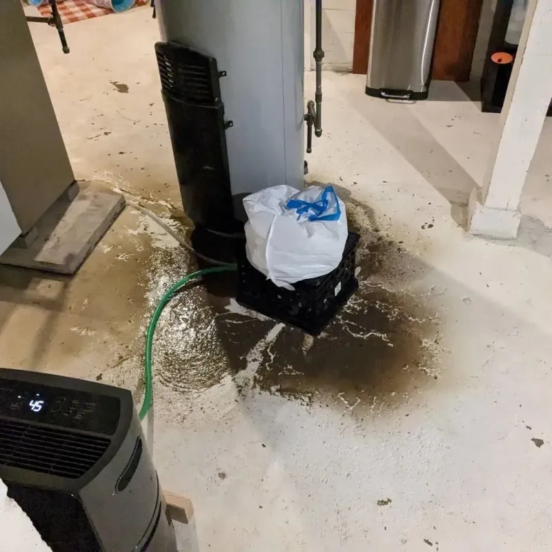 Sewage Backup Cleanup Service in Dent County, MO